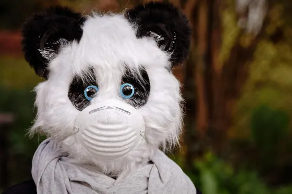 SpinShake Casino Tugi